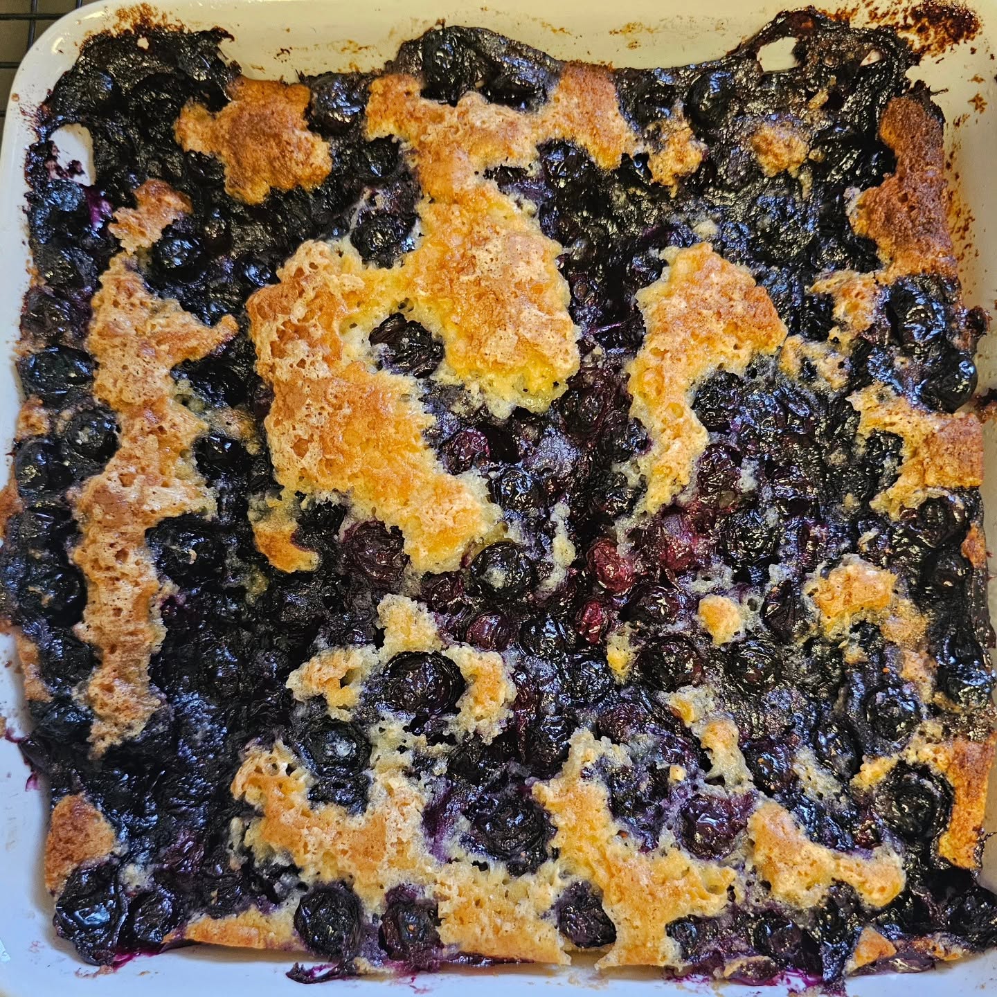 Blueberry Cobbler